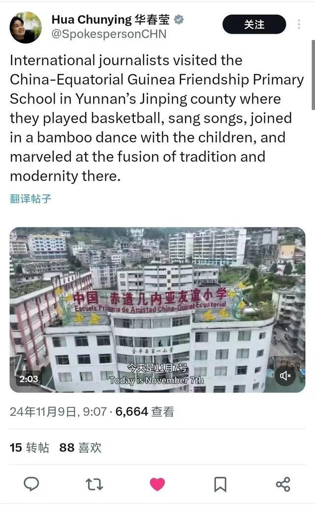 外交部副部长华春莹点赞金平县乡村振兴，背后原因竟是……  第2张