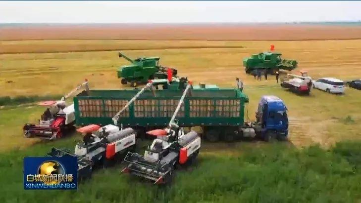 白城市盐碱地治理大获成功，粮食产量实现十三连增  第6张