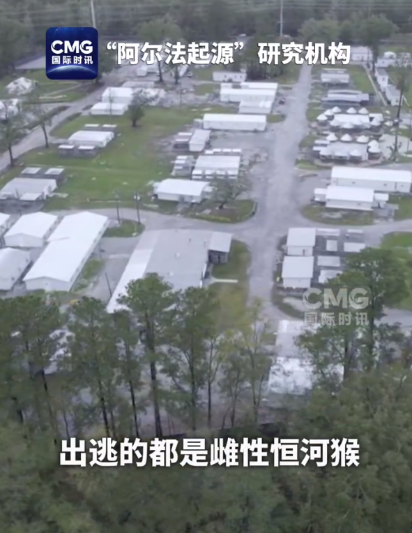 43 只实验猴集体出逃！它们会带来什么后果？  第1张