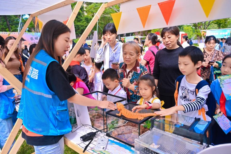 11 月 9 日，广州市人民公园精彩活动等你来  第2张