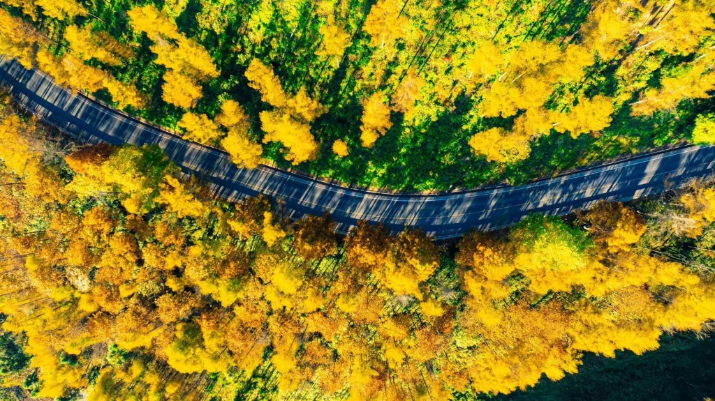 恩施立冬后仍秋高气爽，昼夜温差增大，今年冬天到底是暖是冷？  第3张