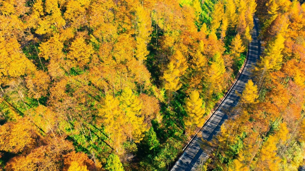 恩施立冬后仍秋高气爽，昼夜温差增大，今年冬天到底是暖是冷？  第4张