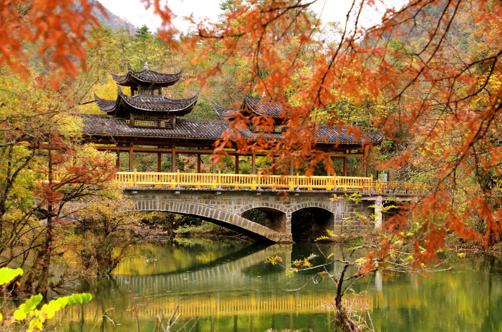 恩施立冬后仍秋高气爽，昼夜温差增大，今年冬天到底是暖是冷？  第5张