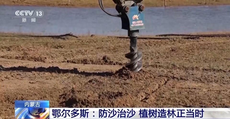 厉害了！鄂尔多斯 3000 亩人工造林，让沙漠变绿洲