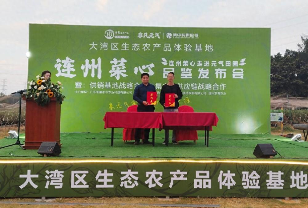 连州菜心品鉴会举行，清甜脆嫩获赞，进驻大湾区市场
