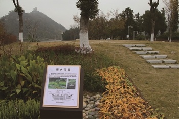 寒冬中的虹山湖市民公园：海绵设施惊艳蜕变，科普立牌揭秘城市绿肺的秘密