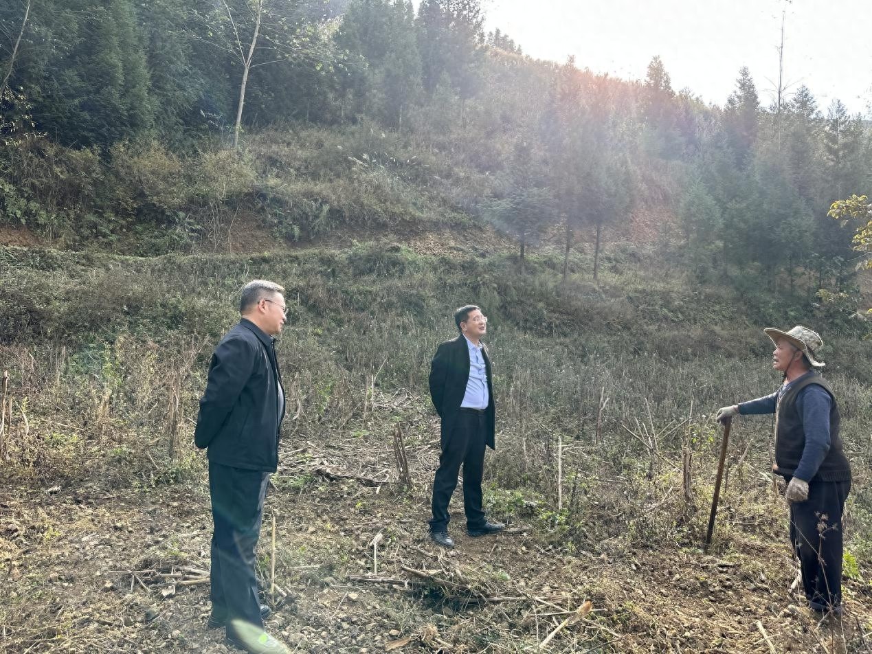 森林草原防火大作战：水城区暗访揭秘，三招确保安全无忧