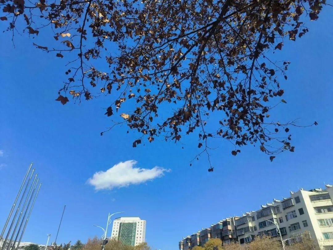 惊！暖阳即将消失，全国大降温来袭，昆明最高气温暴跌8℃  第1张