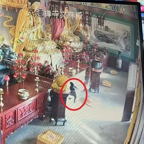佛祖比‘ok’手势同意盗窃？现实版段子惊现寺庙功德箱盗窃案  第3张