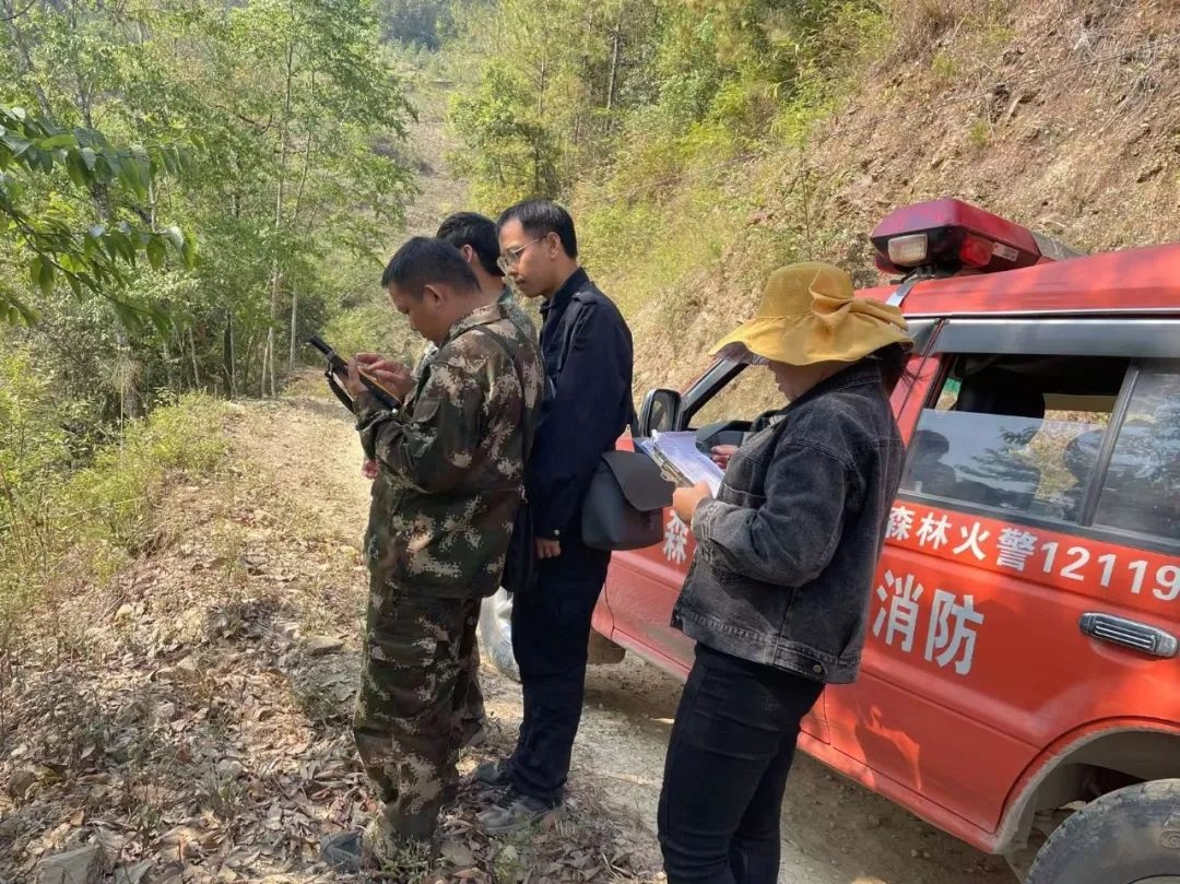 揭秘正兴镇如何通过退耕还林实现绿水青山变金山银山  第3张