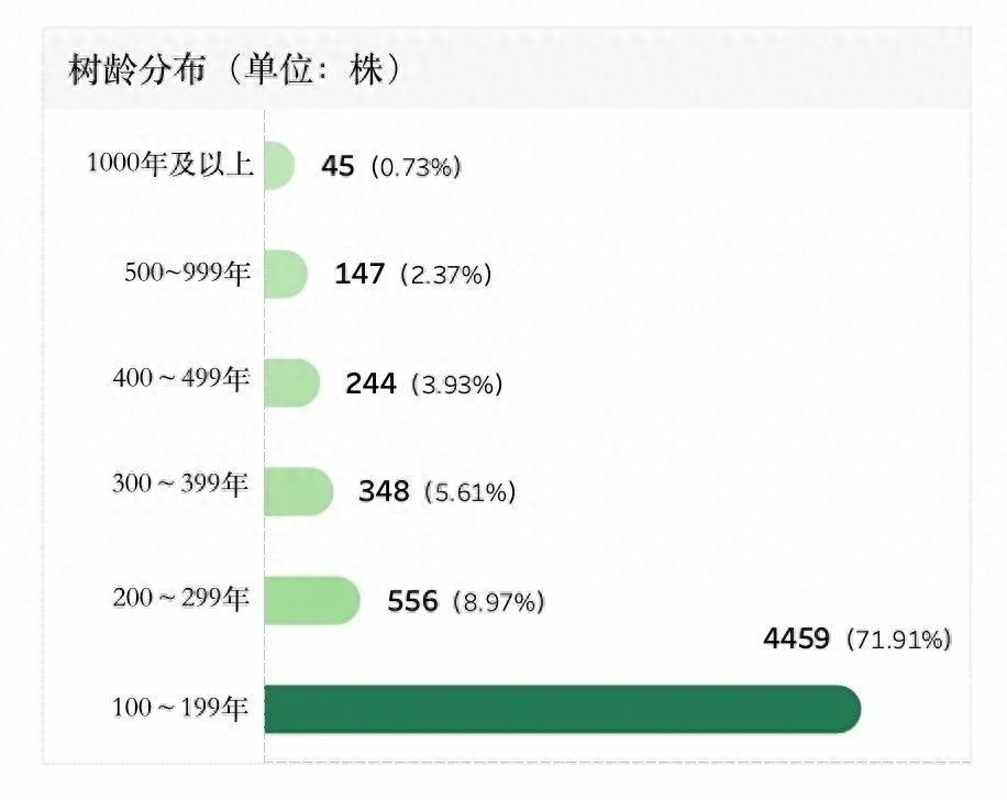 江苏古树名木普查揭秘：6201株绿色瑰宝，500年以上古树竟有192株  第1张