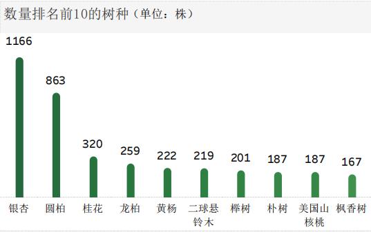 江苏古树名木普查揭秘：6201株绿色瑰宝，500年以上古树竟有192株  第2张