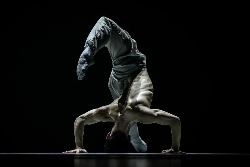 惊！12月8 - 10日展演，数百舞者齐聚蓉城见证啥？  第2张