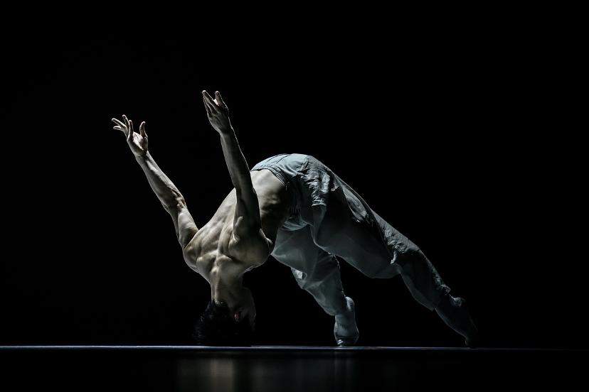 惊！12月8 - 10日展演，数百舞者齐聚蓉城见证啥？  第3张