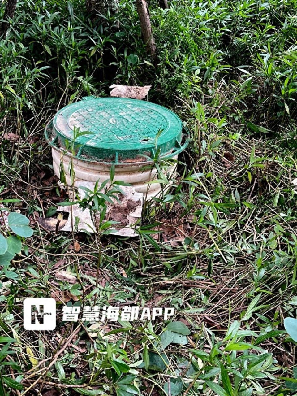 惊险！福州男子为救宠物被困6米深污水井，现场细节曝光