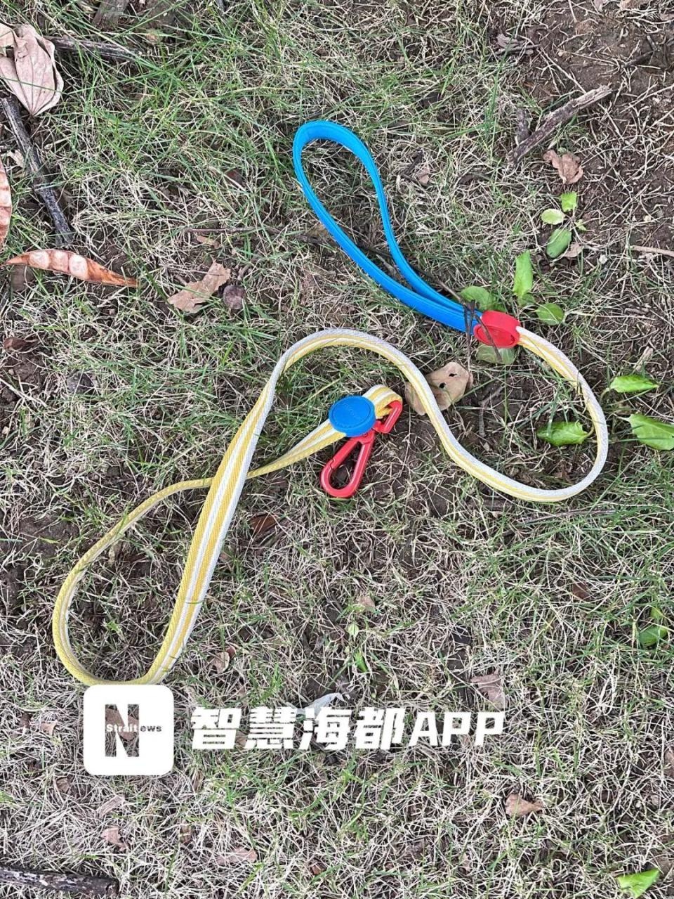 惊险！福州男子为救宠物被困6米深污水井，现场细节曝光  第2张