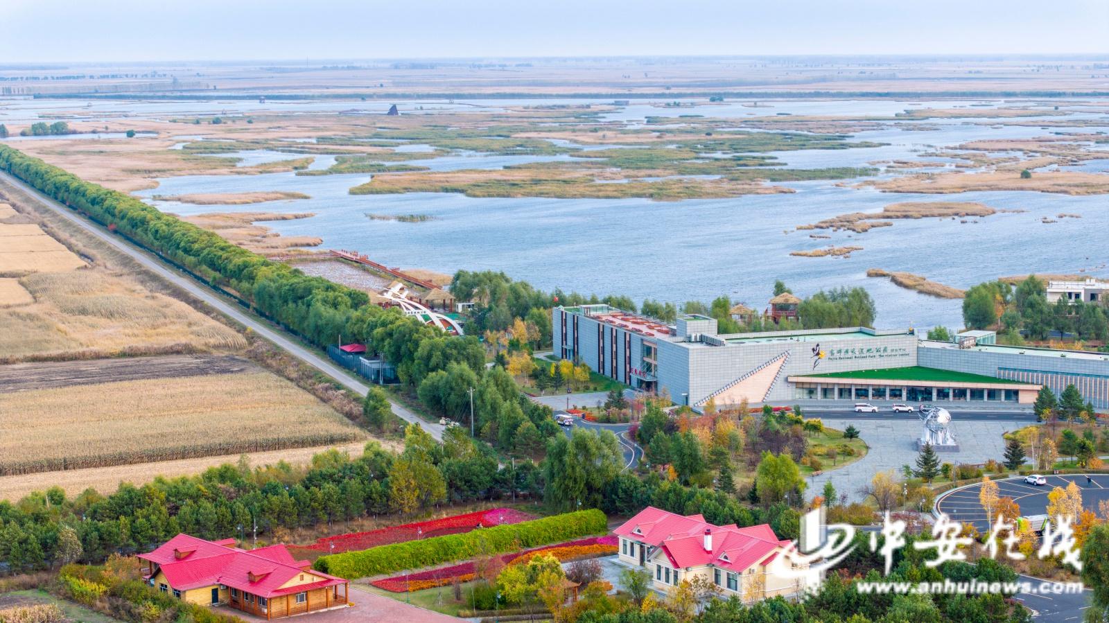 金秋十月，佳木斯富锦国家湿地公园成鸟类天堂，你还不来？  第3张