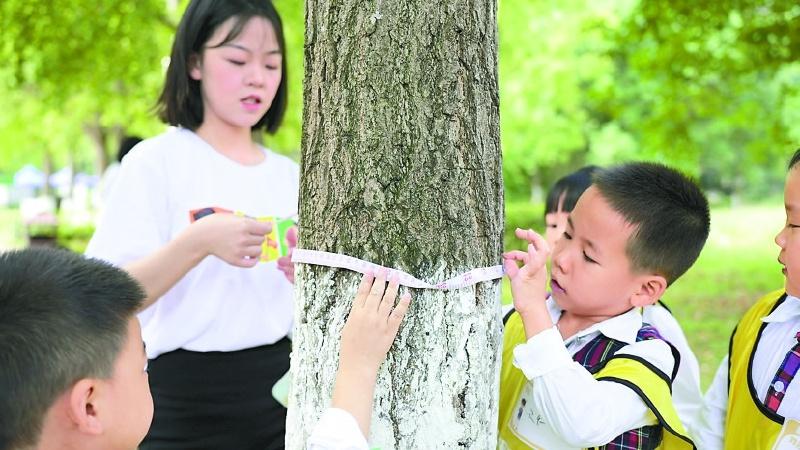 10 月 9 日，南充金红国际幼稚园大班的孩子们竟这样畅游秋季  第2张