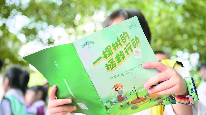 10 月 9 日，南充金红国际幼稚园大班的孩子们竟这样畅游秋季  第3张