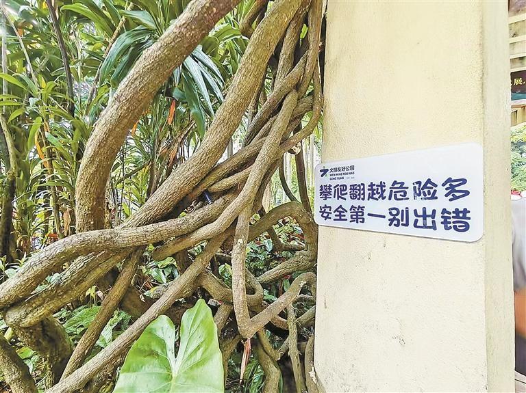 走进盐田明珠文明友好公园，感受文明友好城区的魅力  第3张