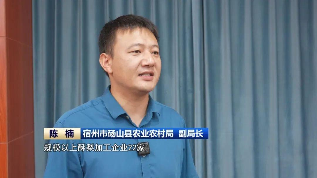 万亩梨园硕果累累，安徽砀山乡村产业振兴正当时  第5张