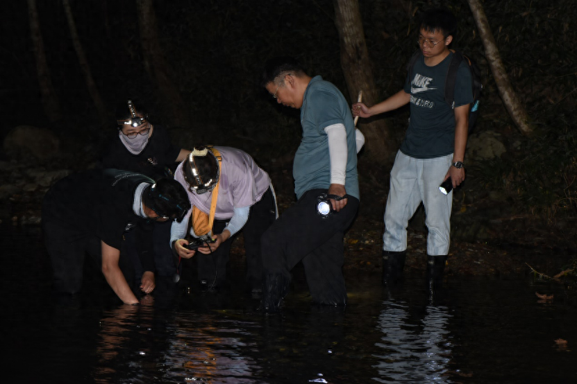 濒危活化石江西大鲵野外种群现状首次曝光  第1张