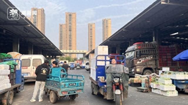 国庆刚过，杭城菜市场惊现冬笋和春笋，这是要逆天吗？  第1张