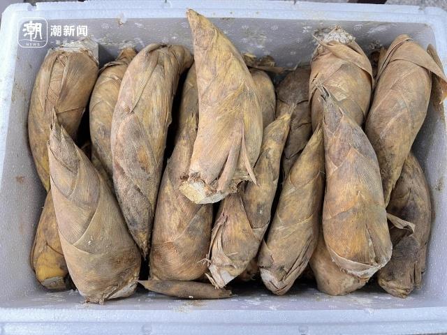 国庆刚过，杭城菜市场惊现冬笋和春笋，这是要逆天吗？  第3张