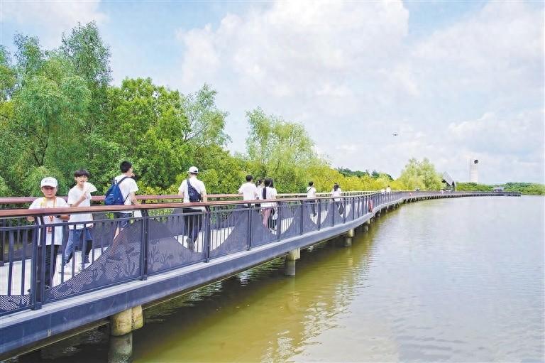 国庆假期海南湿地旅游受热捧，你去了吗？  第1张