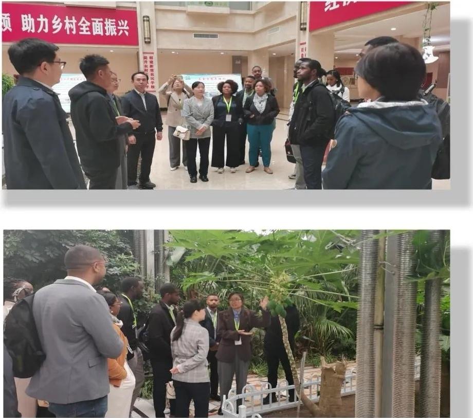 13 名佛得角外交事务青年官员惊叹吉林发展，背后原因令人深思  第3张