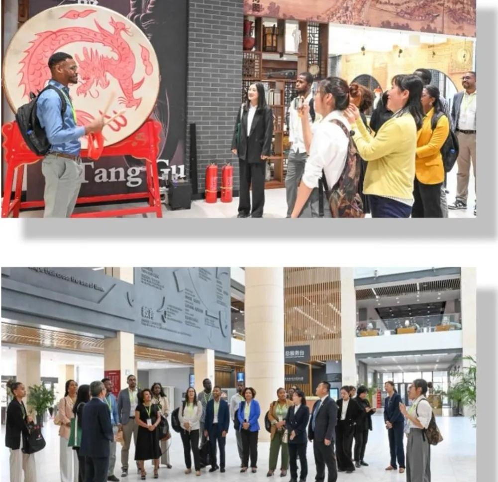 13 名佛得角外交事务青年官员惊叹吉林发展，背后原因令人深思  第4张