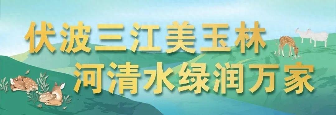 玉林国家市级水网先导区建设实施方案出炉！六大标志性工程全力保障江河防洪安澜  第1张