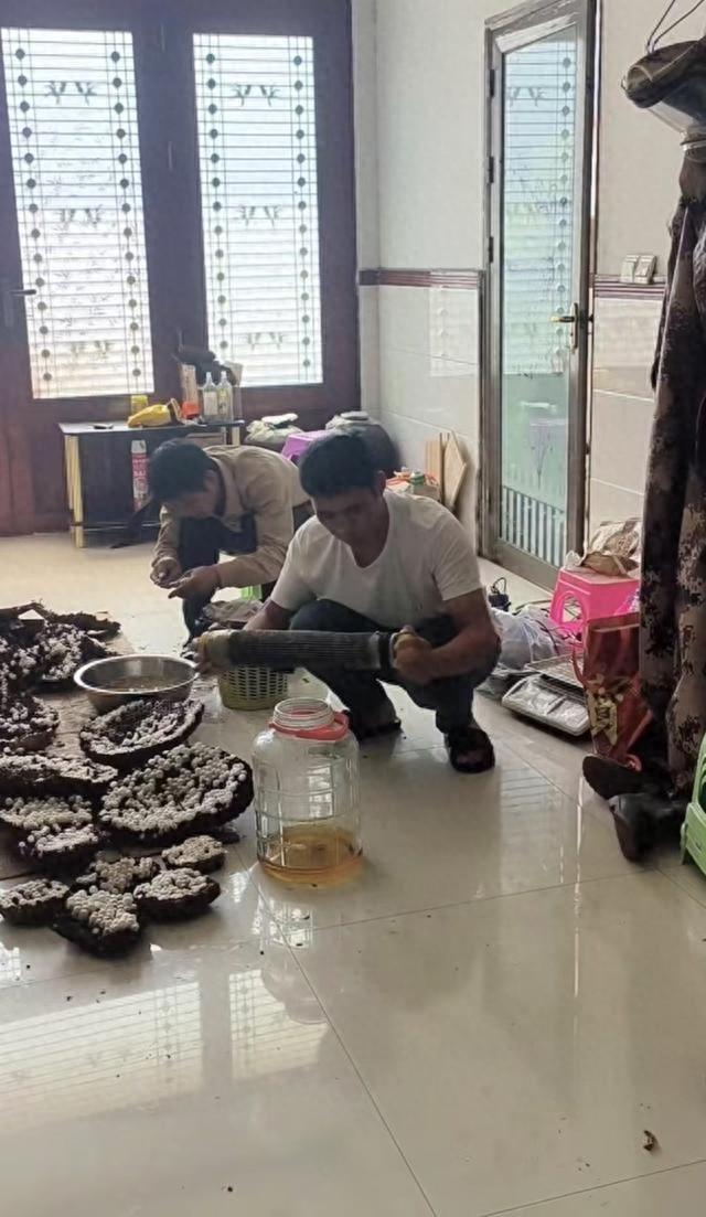 男子用虎头蜂泡酒失误，朋友竟被吓得抱头鼠窜  第1张
