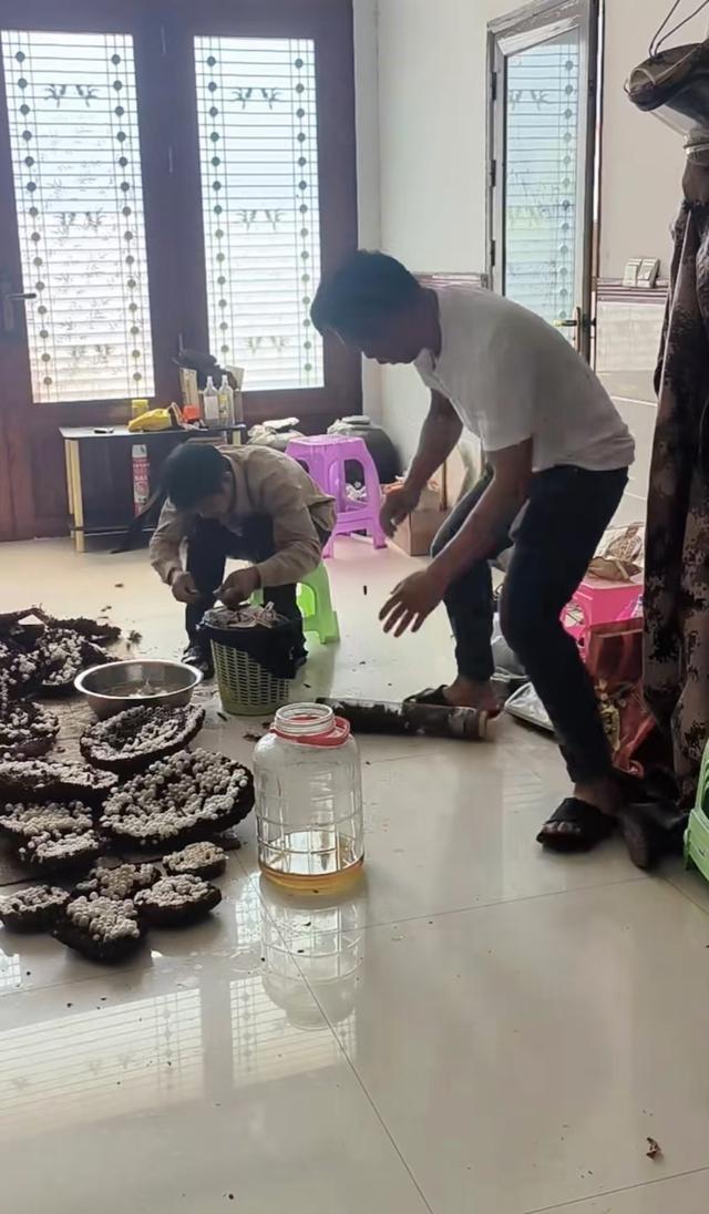 男子用虎头蜂泡酒失误，朋友竟被吓得抱头鼠窜  第2张