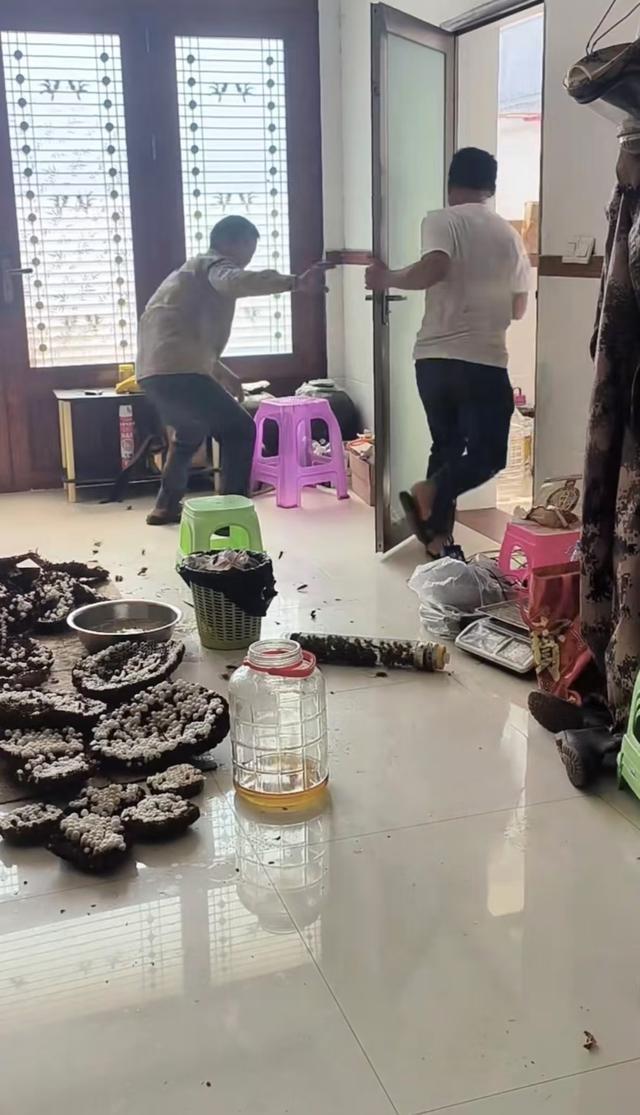 男子用虎头蜂泡酒失误，朋友竟被吓得抱头鼠窜  第3张