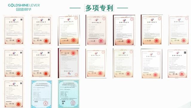 制氢行业新星崛起！国盛利华凭什么引领高质量发展？  第3张