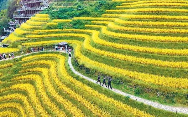 国庆期间，广西政法干警坚守岗位，用忠诚和奉献筑起最美风景线  第8张