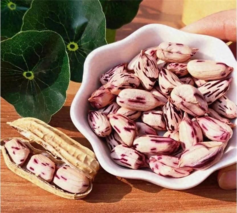 七彩花生：色彩斑斓的营养瑰宝，你吃过吗？  第1张