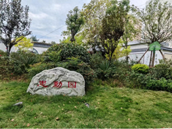 家门口的公园，谁能不爱？南阳卧龙区全力创建国家生态园林城市  第1张