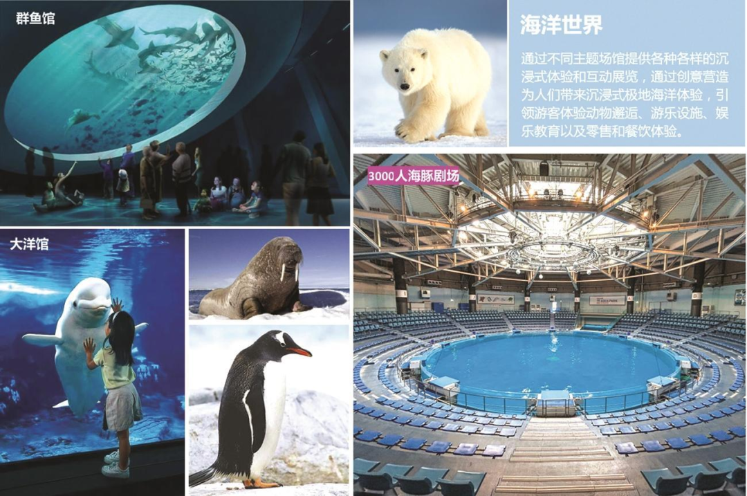 合肥海洋世界三期项目正式启动！7.5 万平方米的新场馆等你来探索  第2张