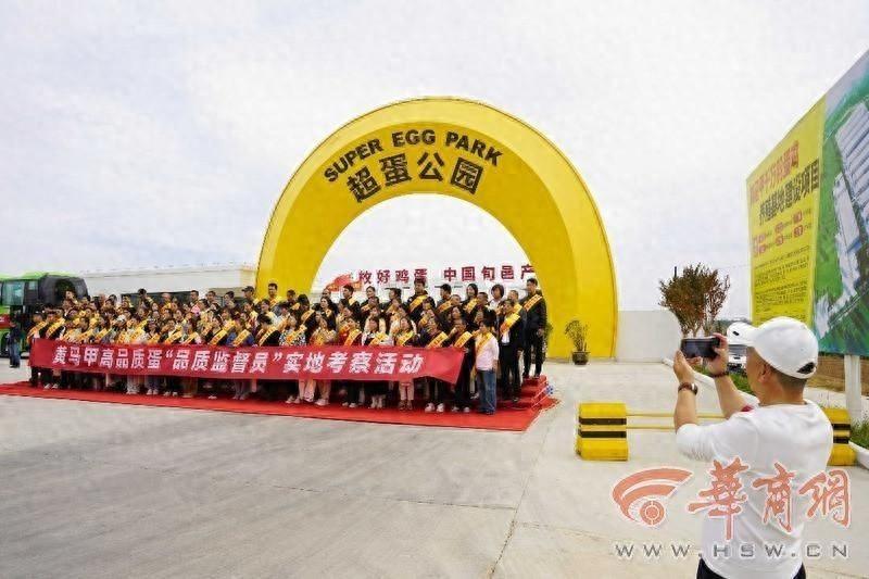 10 月 11 日世界蛋品中国日，黄马甲公开承诺品质保证，你还在担心鸡蛋品质吗？  第1张