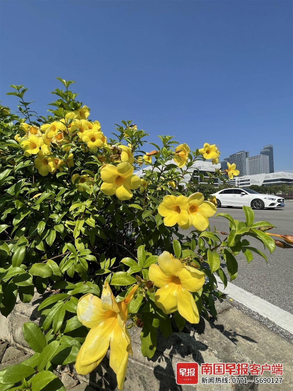 10 月以来广西雨水基本隐身，13 日起桂西北将迎降雨转折  第2张