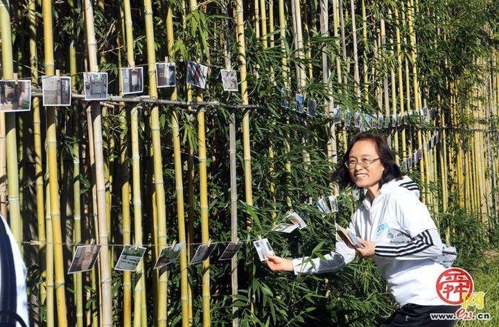 100 余名健步走爱好者齐聚历下，这场活动为何如此有吸引力？  第2张