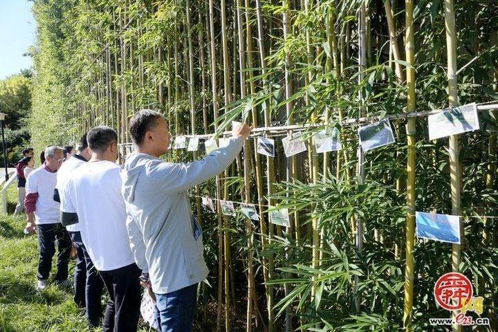 100 余名健步走爱好者齐聚历下，这场活动为何如此有吸引力？  第3张
