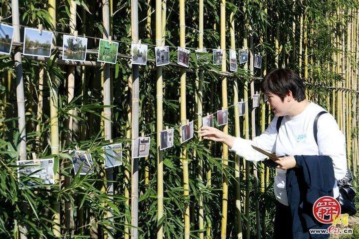 100 余名健步走爱好者齐聚历下，这场活动为何如此有吸引力？  第4张