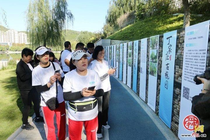 100 余名健步走爱好者齐聚历下，这场活动为何如此有吸引力？  第6张