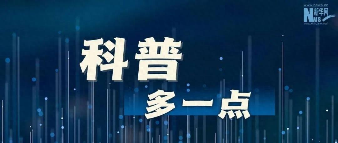 别再把雪莲果当番薯了！它可是名副其实的低聚果糖之王