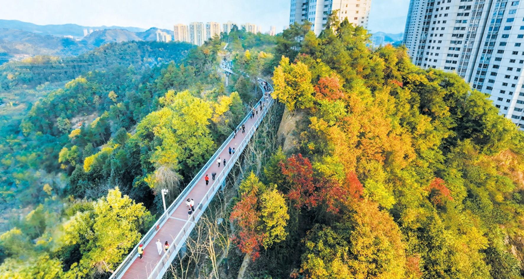 十堰城区健康步道二期开放，你去打卡了吗？  第1张