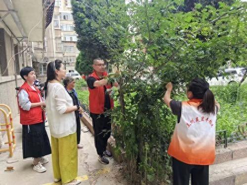 网格员成空巢老人临时儿女，用行动诠释使命担当