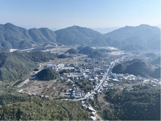 厉害了！燕子镇用三片叶子缔造致富路，总产值超 5000 万  第1张